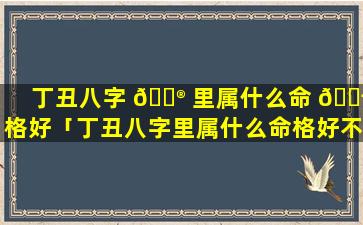 丁丑八字 💮 里属什么命 🐬 格好「丁丑八字里属什么命格好不好」